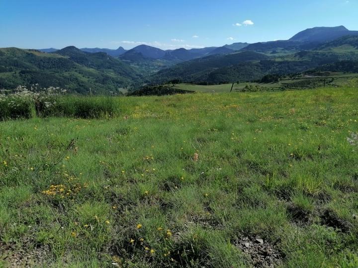 Gerbier et le Mezenc vue d'une rando