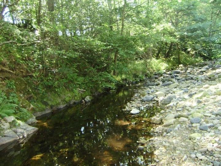 rivière à 200 mètres