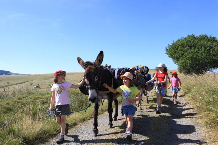 Randonnée avec un âne "Rando itinérante avec un âne pour les plus petits au cœur des monts d'Ardèche