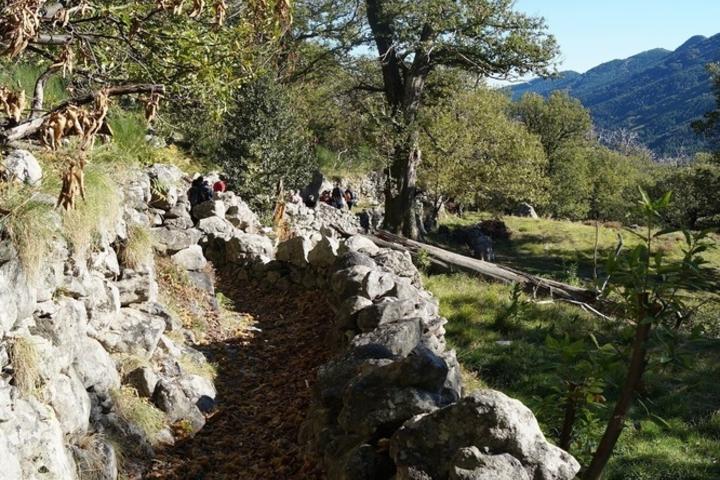 Hiking Trail: Les Ferjasses - Valgorge