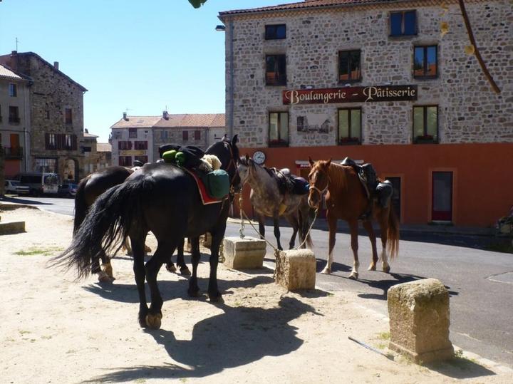 randonnée cheval montagne ardéchoise