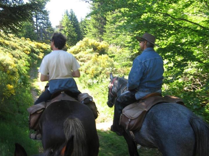 balade cheval montagne ardéchoise