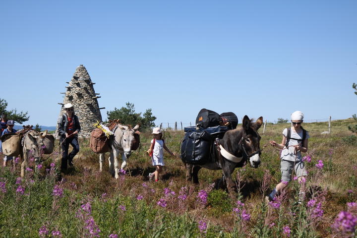 Randonnée avec les ânes sur les monts d'Ardèche