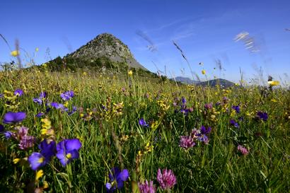 La préservation du Mont Gerbier-de-Jonc